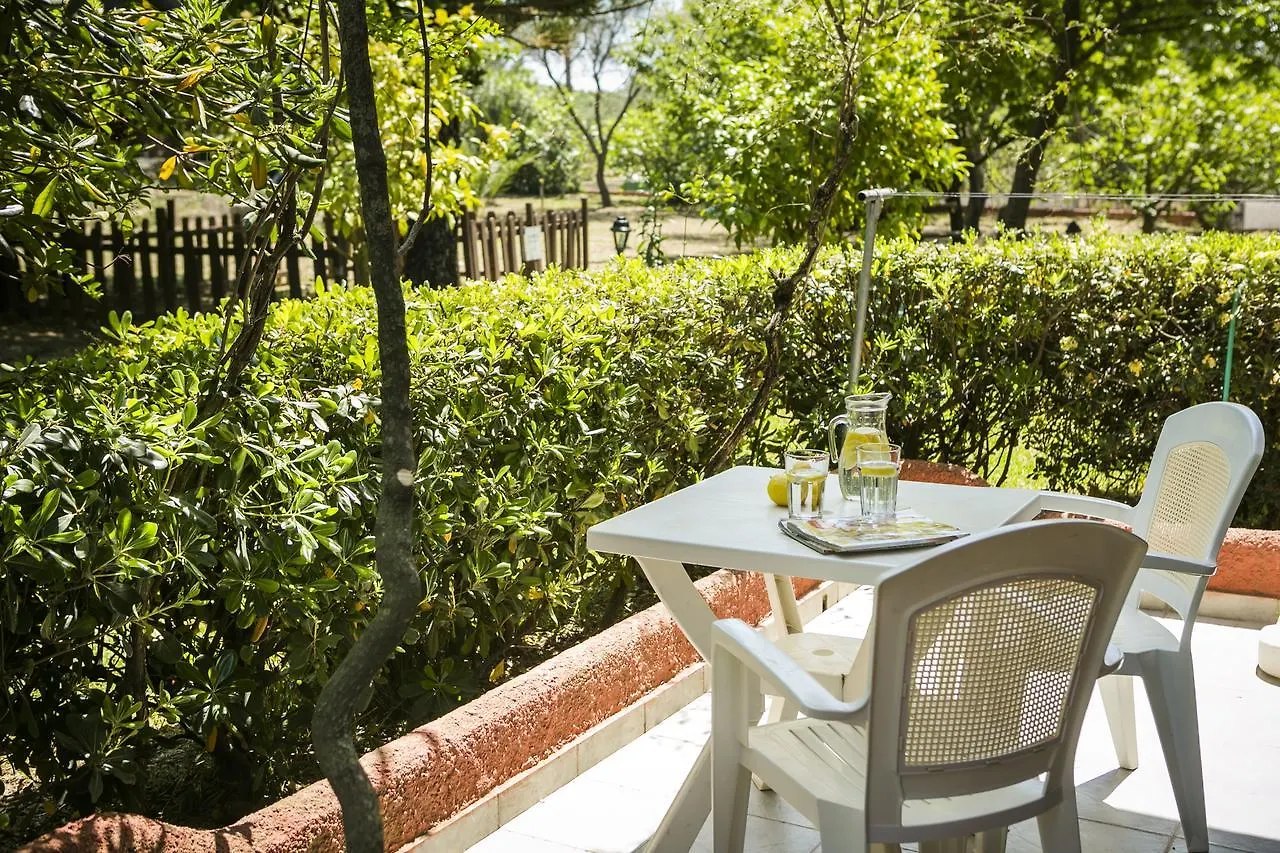 Dendrolivano Minia Hotel apartamentowy