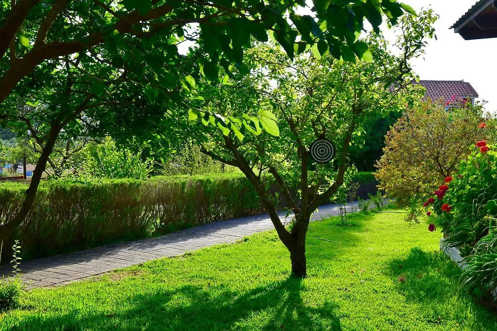Aparthotel Dendrolivano Minia